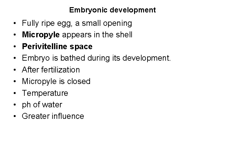 Embryonic development • • • Fully ripe egg, a small opening Micropyle appears in