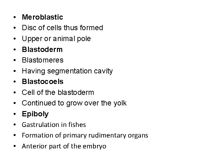  • • • • Meroblastic Disc of cells thus formed Upper or animal