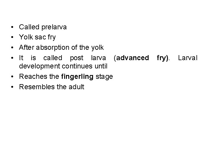  • • Called prelarva Yolk sac fry After absorption of the yolk It