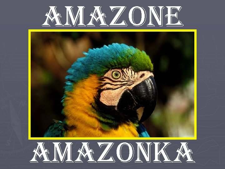 amazon. E amazonka 