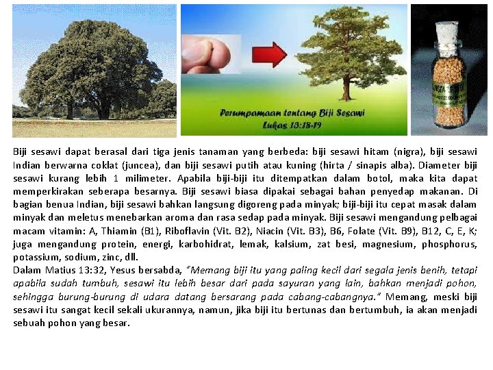 Biji sesawi dapat berasal dari tiga jenis tanaman yang berbeda: biji sesawi hitam (nigra),