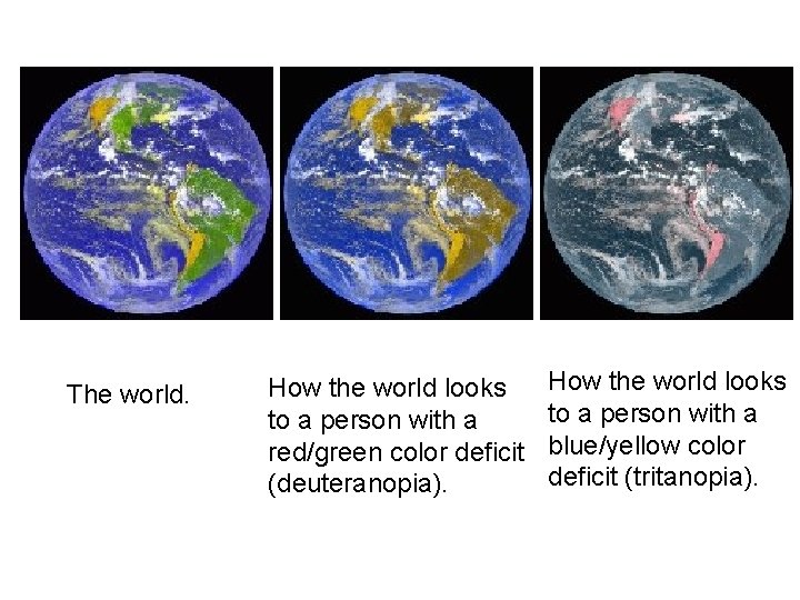 The world. How the world looks to a person with a red/green color deficit