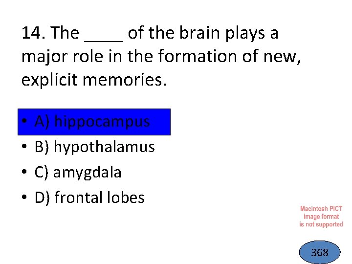 14. The ____ of the brain plays a major role in the formation of