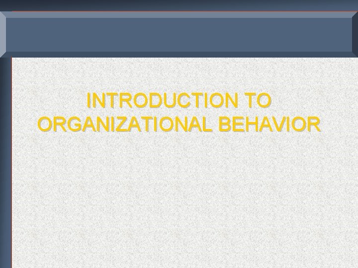 INTRODUCTION TO ORGANIZATIONAL BEHAVIOR 