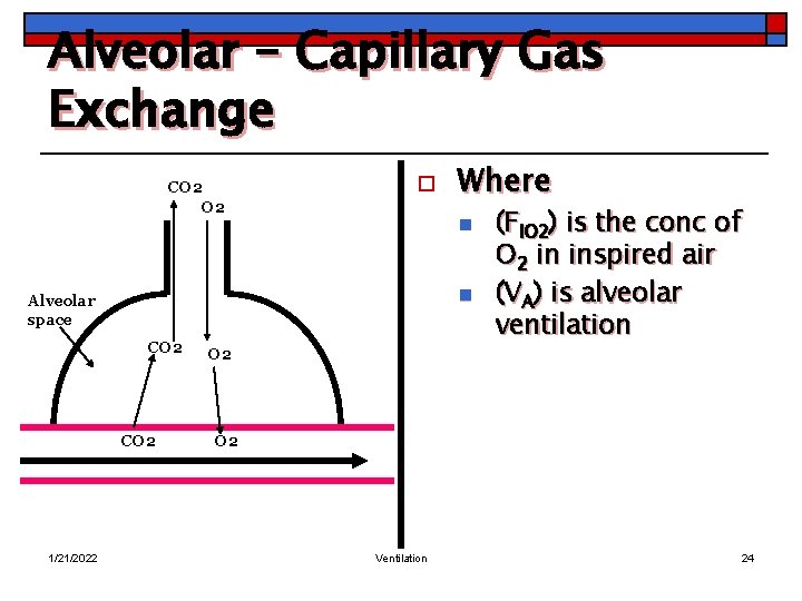 Alveolar – Capillary Gas Exchange CO 2 o n n Alveolar space CO 2