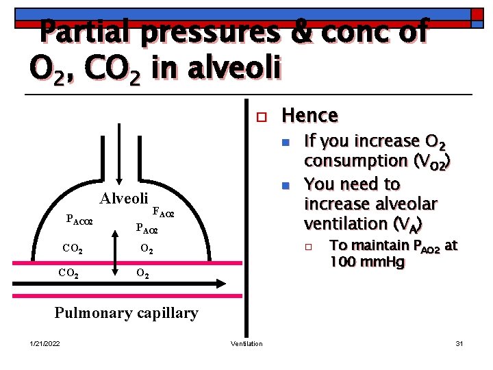 Partial pressures & conc of O 2, CO 2 in alveoli o Hence n