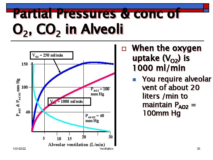 Partial Pressures & conc of O 2, CO 2 in Alveoli o VO 2