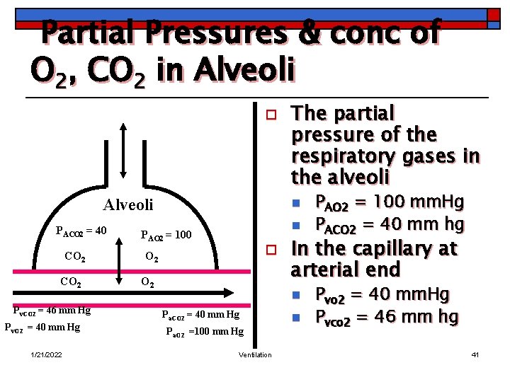 Partial Pressures & conc of O 2, CO 2 in Alveoli o Alveoli PACO