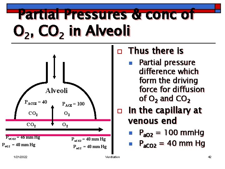 Partial Pressures & conc of O 2, CO 2 in Alveoli o Thus there