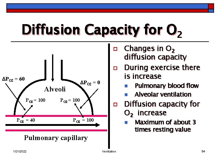 Diffusion Capacity for O 2 o o PO 2 = 60 PO 2 =