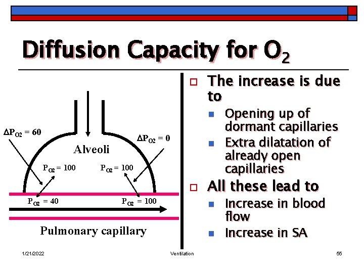 Diffusion Capacity for O 2 o The increase is due to n PO 2