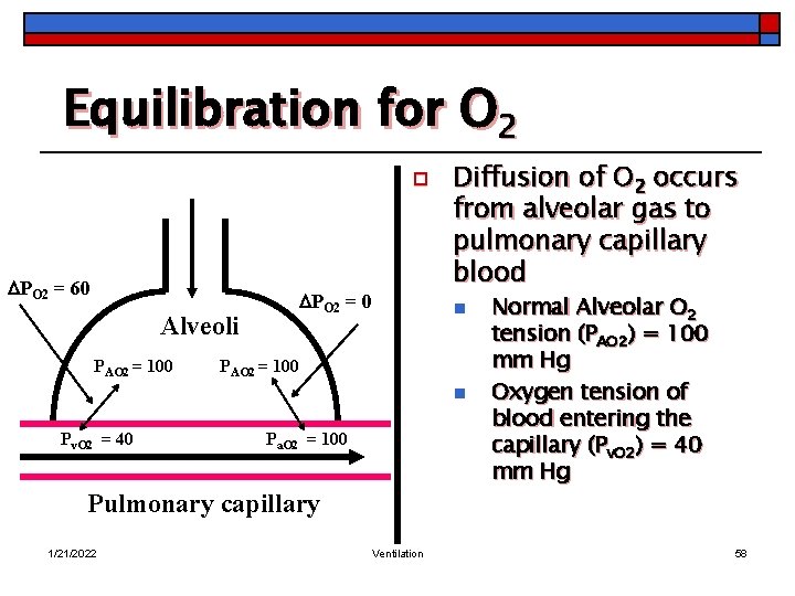 Equilibration for O 2 o PO 2 = 60 Alveoli PAO 2 = 100