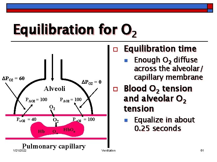 Equilibration for O 2 o Equilibration time n PO 2 = 60 PO 2