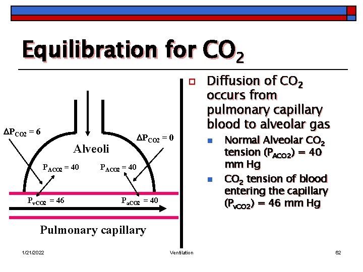 Equilibration for CO 2 o PCO 2 = 6 PCO 2 = 0 Alveoli