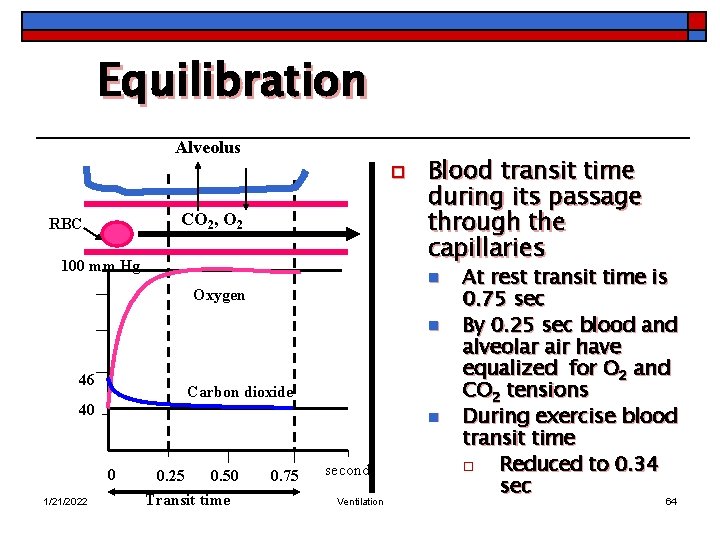 Equilibration Alveolus o CO 2, O 2 RBC 100 mm Hg Blood transit time