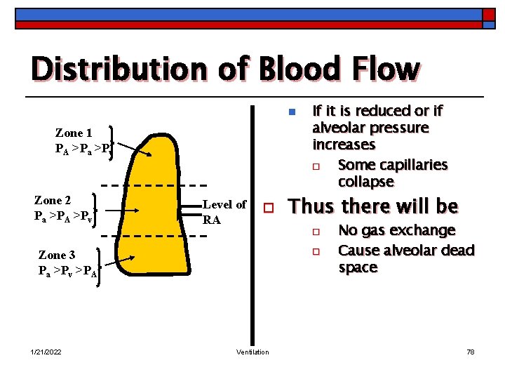 Distribution of Blood Flow n Zone 1 PA >Pa >Pv Zone 2 Pa >PA