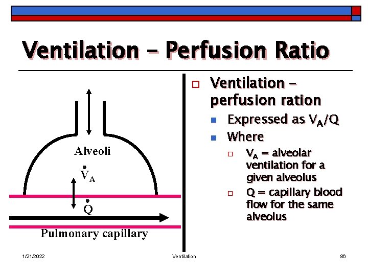 Ventilation – Perfusion Ratio o Ventilation – perfusion ration n n Alveoli Expressed as