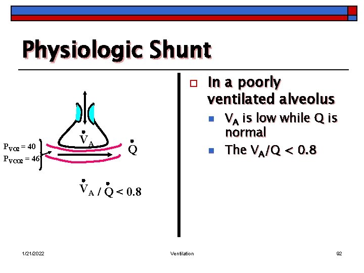 Physiologic Shunt o In a poorly ventilated alveolus n PVO 2 = 40 PVCO