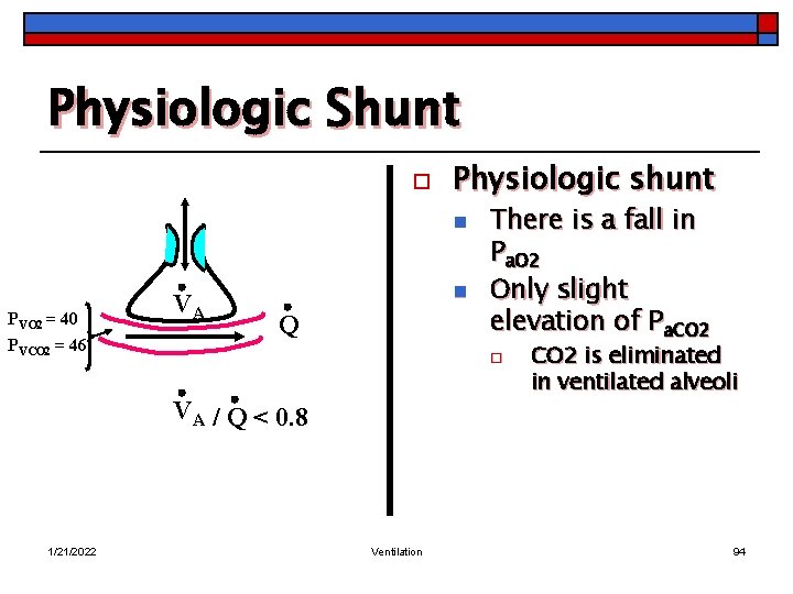 Physiologic Shunt o Physiologic shunt n PVO 2 = 40 PVCO 2 = 46