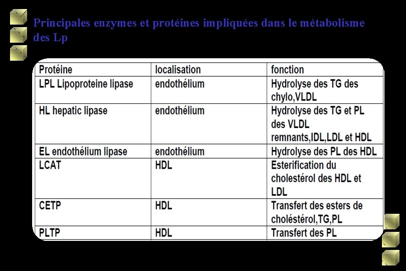 Principales enzymes et protéines impliquées dans le métabolisme des Lp 