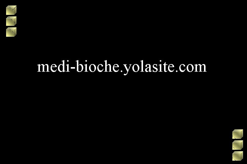 medi-bioche. yolasite. com 