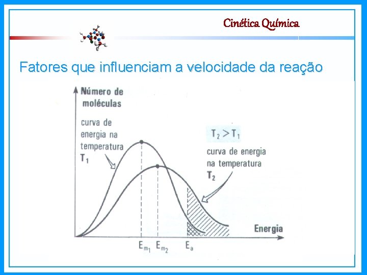 Cinética Química Fatores que influenciam a velocidade da reação Temperatura - Temperatura → freqüência