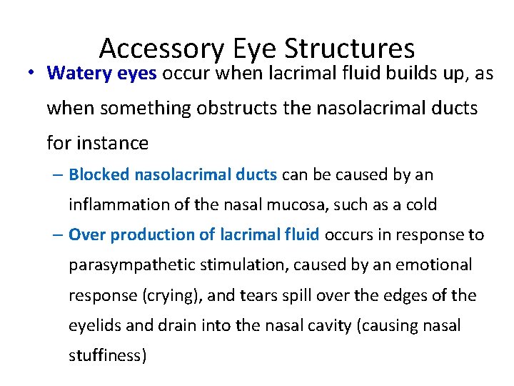 Accessory Eye Structures • Watery eyes occur when lacrimal fluid builds up, as when
