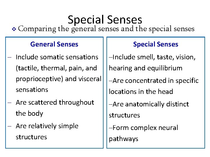 v Comparing Special Senses the general senses and the special senses General Senses Special