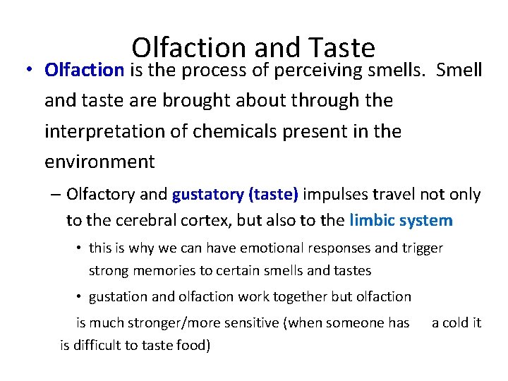 Olfaction and Taste • Olfaction is the process of perceiving smells. Smell and taste