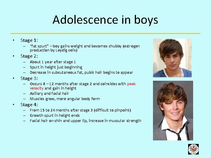 Adolescence in boys • Stage 1: – “fat spurt” – boy gains weight and