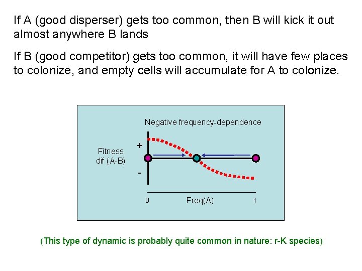 If A (good disperser) gets too common, then B will kick it out almost If A (good disperser) gets too common, then B will kick it out almost
