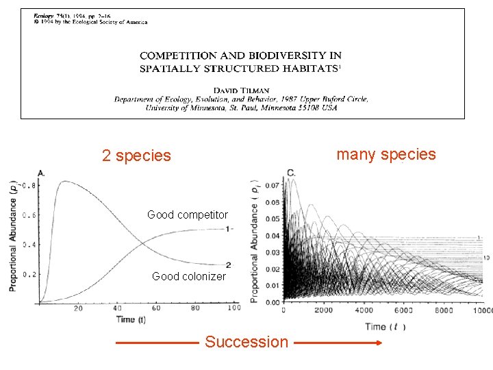 many species 2 species Good competitor Good colonizer Succession many species 2 species Good competitor Good colonizer Succession
