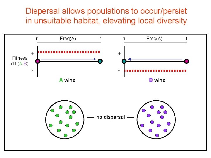 Dispersal allows populations to occur/persist in unsuitable habitat, elevating local diversity 0 Fitness dif Dispersal allows populations to occur/persist in unsuitable habitat, elevating local diversity 0 Fitness dif