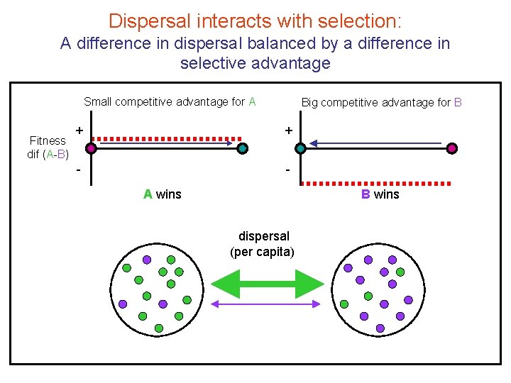 Dispersal interacts with selection: A difference in dispersal balanced by a difference in selective Dispersal interacts with selection: A difference in dispersal balanced by a difference in selective