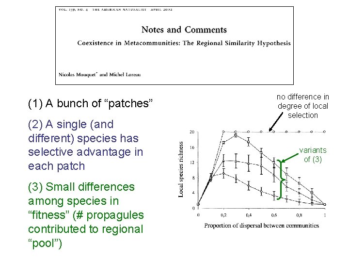 (1) A bunch of “patches” (2) A single (and different) species has selective advantage (1) A bunch of “patches” (2) A single (and different) species has selective advantage