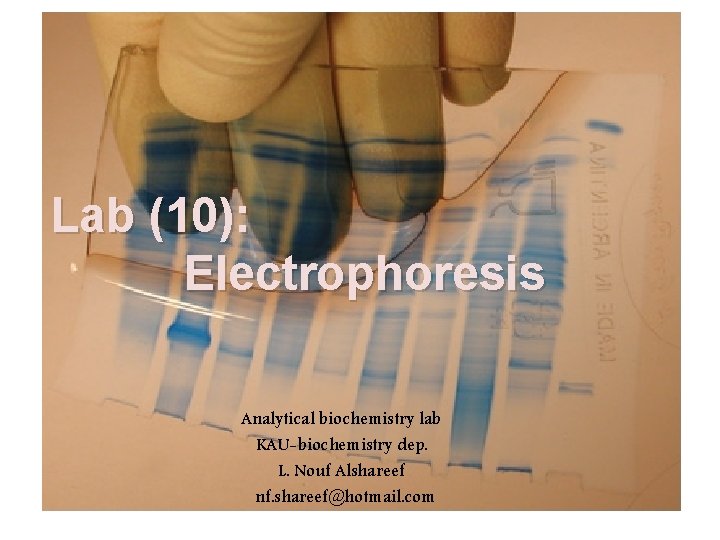 Lab (10): Electrophoresis Analytical biochemistry lab KAU-biochemistry dep. L. Nouf Alshareef nf. shareef@hotmail. com