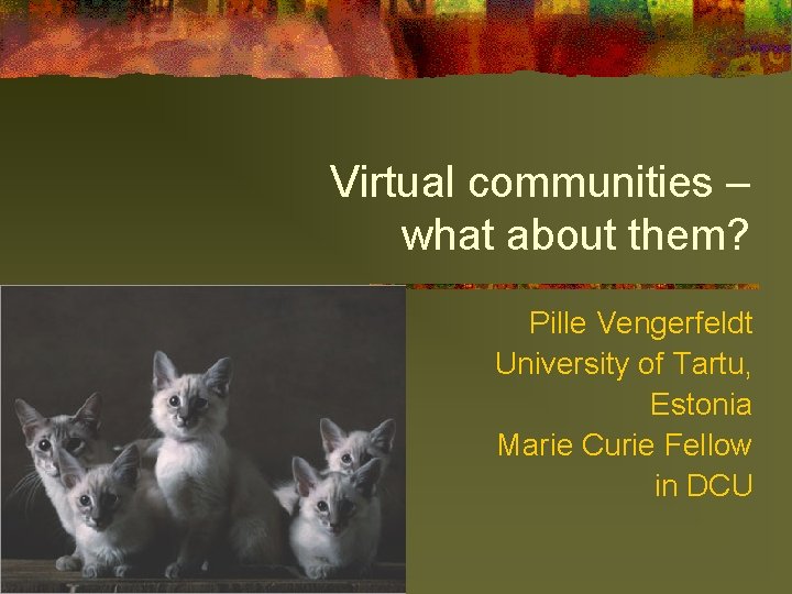 Virtual communities – what about them? Pille Vengerfeldt University of Tartu, Estonia Marie Curie