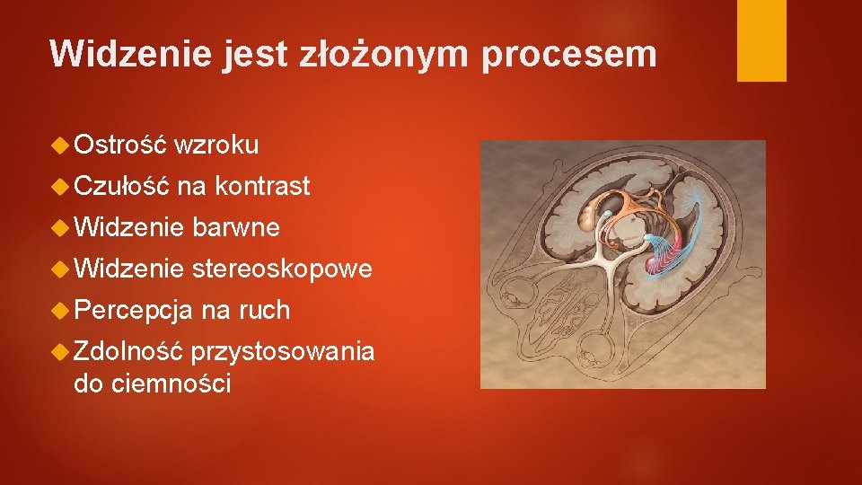 Widzenie jest złożonym procesem Ostrość wzroku Czułość na kontrast Widzenie barwne Widzenie stereoskopowe Percepcja