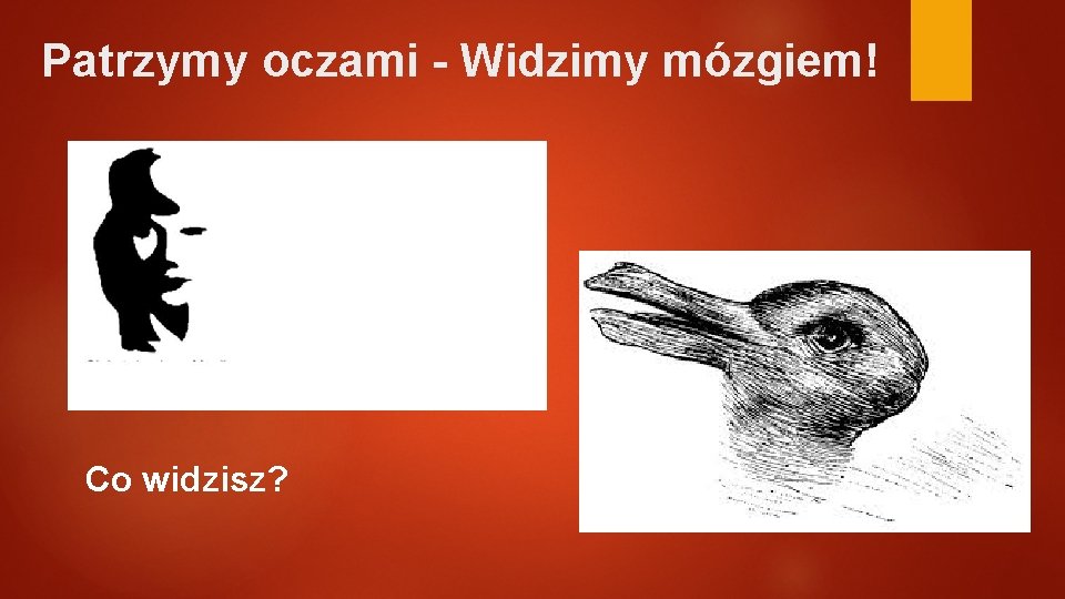 Patrzymy oczami - Widzimy mózgiem! Co widzisz? 