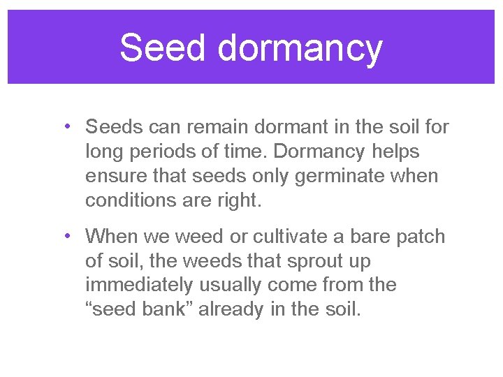 Seed dormancy • Seeds can remain dormant in the soil for long periods of