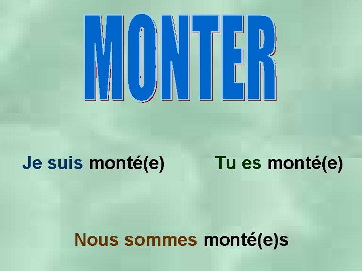 Je suis monté(e) Tu es monté(e) Nous sommes monté(e)s 