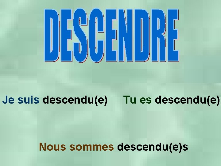 Je suis descendu(e) Tu es descendu(e) Nous sommes descendu(e)s 