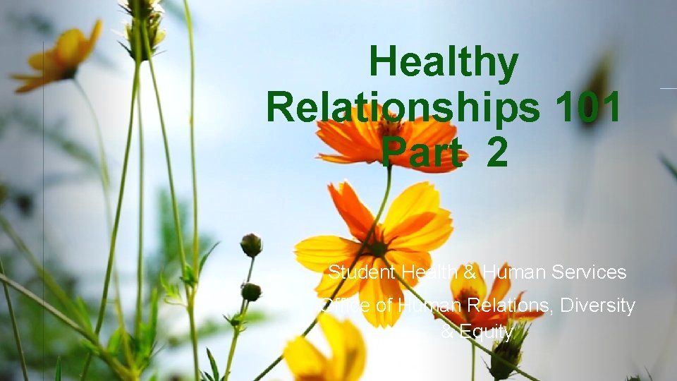 Healthy Relationships 101 Part 2 Student Health & Human Services Office of Human Relations,