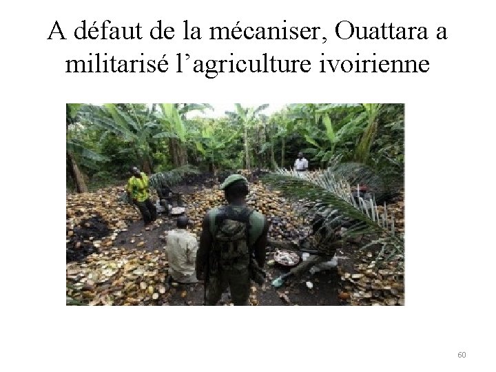 A défaut de la mécaniser, Ouattara a militarisé l’agriculture ivoirienne 60 