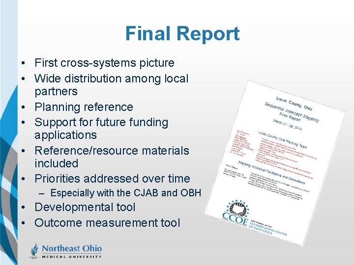 Final Report • First cross-systems picture • Wide distribution among local partners • Planning