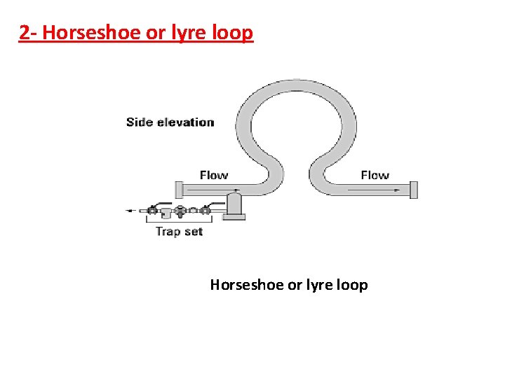 2 - Horseshoe or lyre loop 