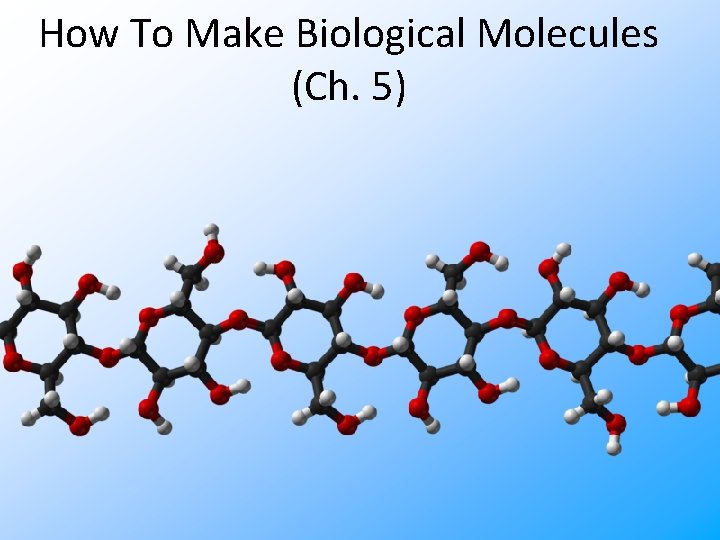 How To Make Biological Molecules (Ch. 5) 