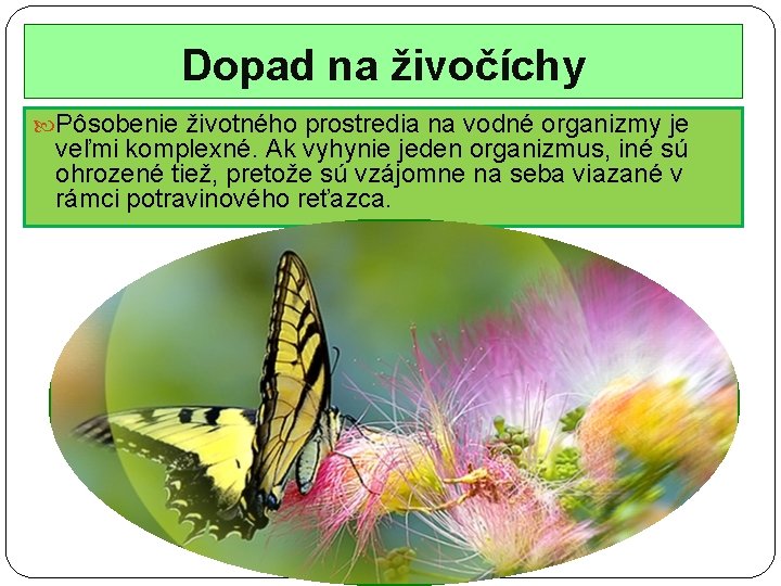 Dopad na živočíchy Pôsobenie životného prostredia na vodné organizmy je veľmi komplexné. Ak vyhynie