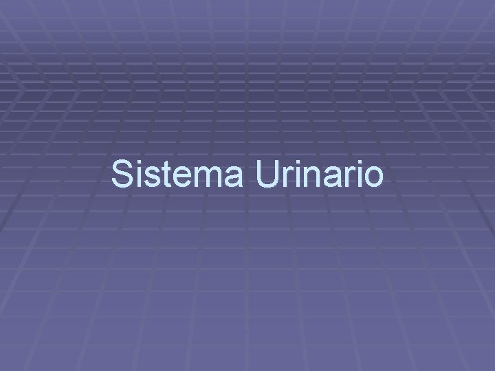 Sistema Urinario 