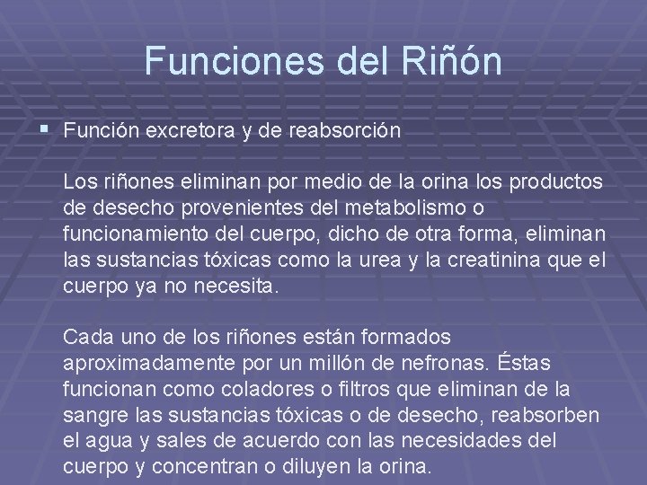 Funciones del Riñón § Función excretora y de reabsorción Los riñones eliminan por medio